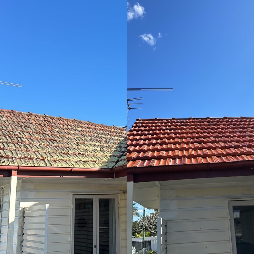 Terracotta roof cleaning before and after